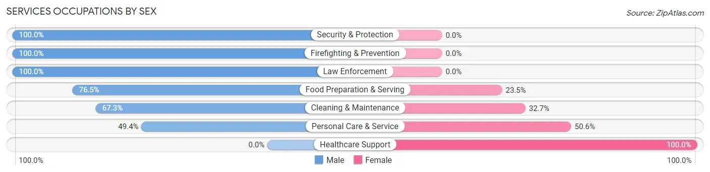 Services Occupations by Sex in Zip Code 26070