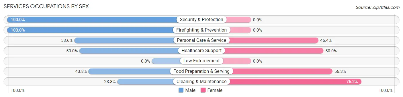 Services Occupations by Sex in Zip Code 26074