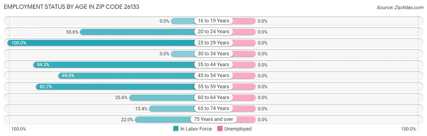 Employment Status by Age in Zip Code 26133