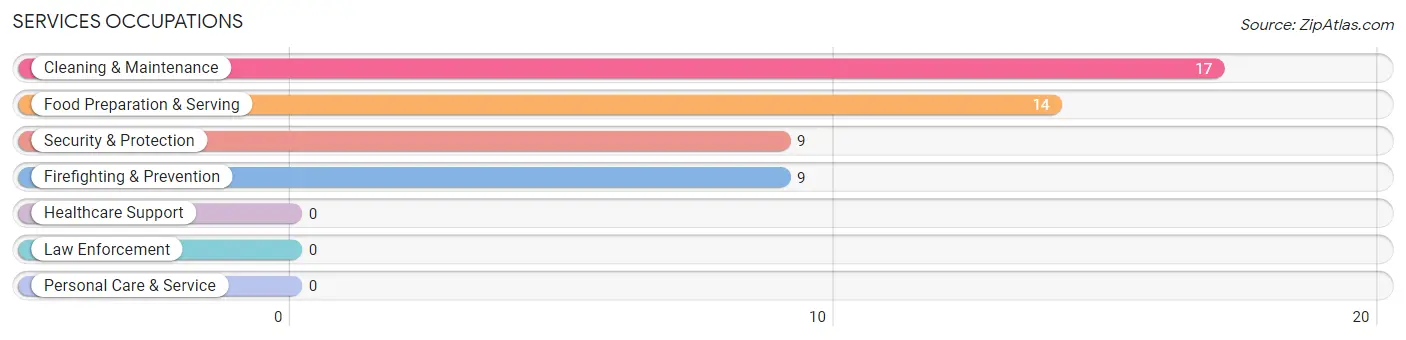 Services Occupations in Zip Code 26137