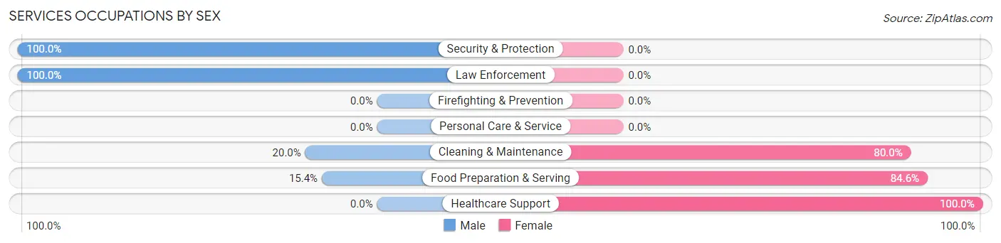 Services Occupations by Sex in Zip Code 26143