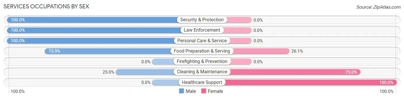 Services Occupations by Sex in Zip Code 26147