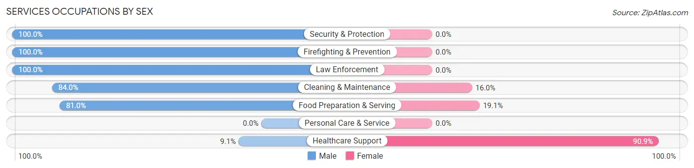 Services Occupations by Sex in Zip Code 26159