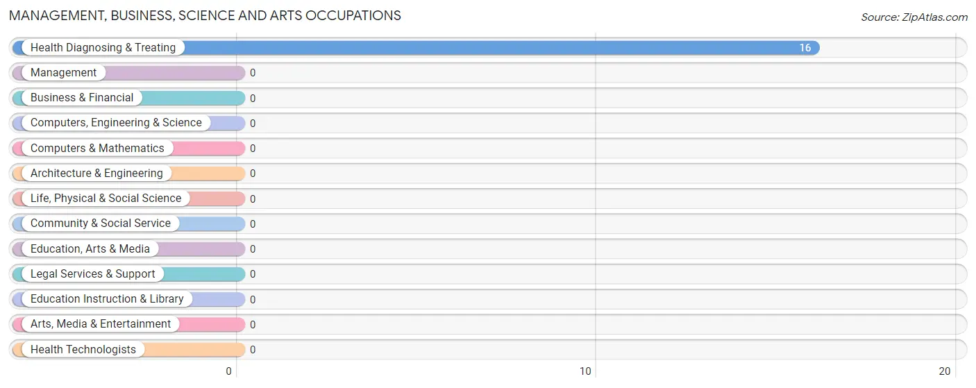 Management, Business, Science and Arts Occupations in Zip Code 26161