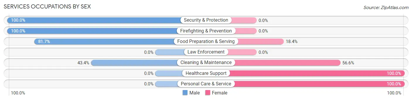 Services Occupations by Sex in Zip Code 26164