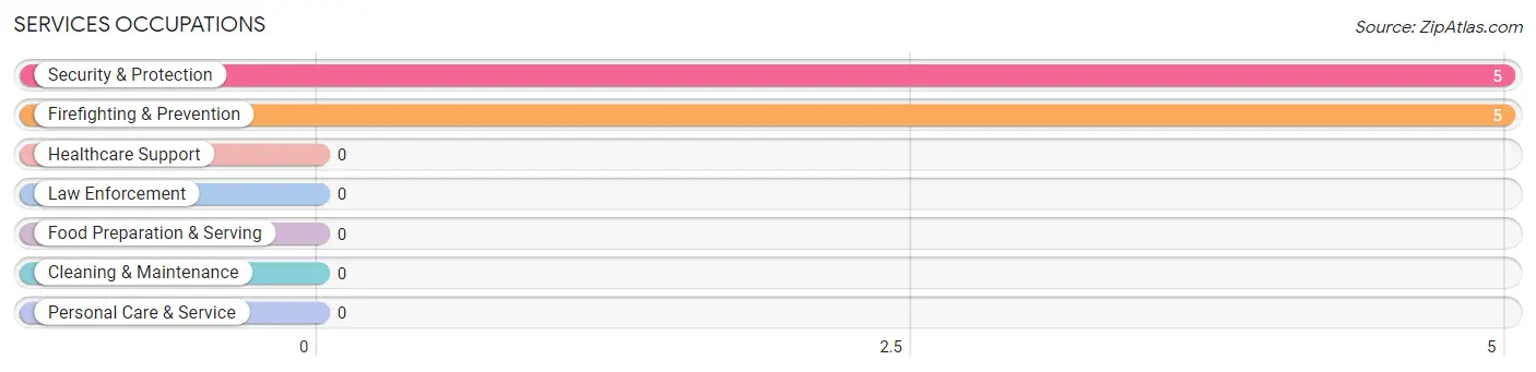 Services Occupations in Zip Code 26167