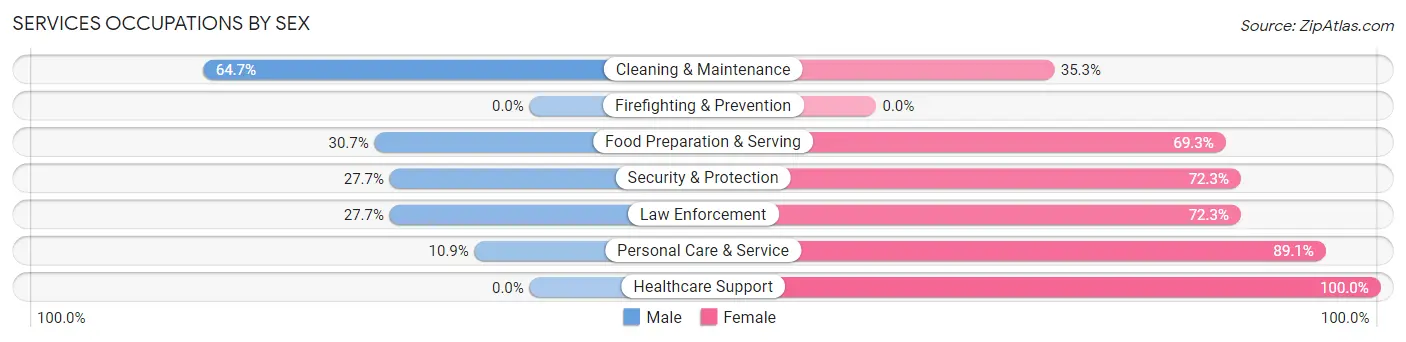 Services Occupations by Sex in Zip Code 26170
