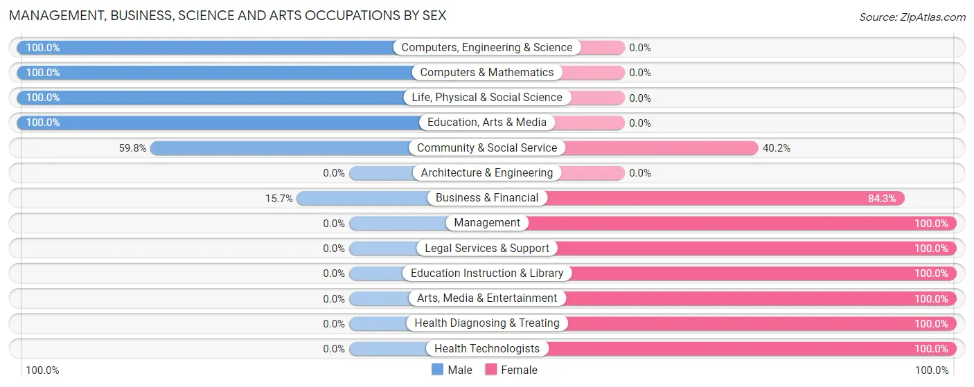 Management, Business, Science and Arts Occupations by Sex in Zip Code 26180