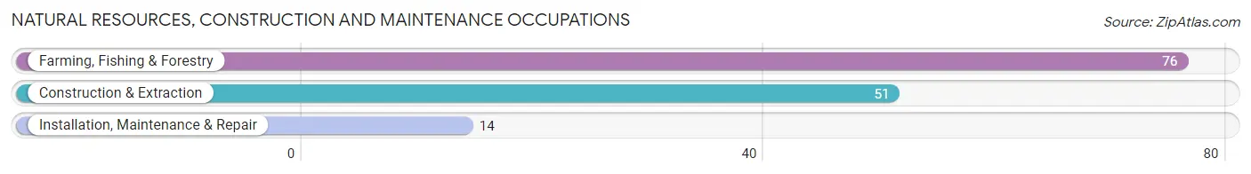 Natural Resources, Construction and Maintenance Occupations in Zip Code 26180