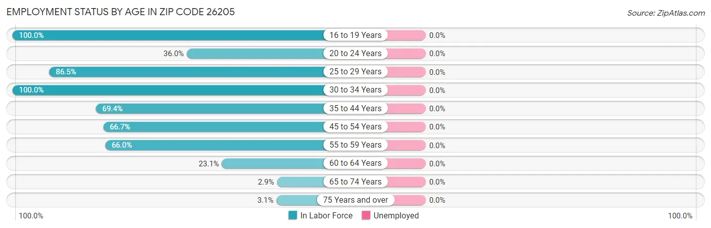 Employment Status by Age in Zip Code 26205