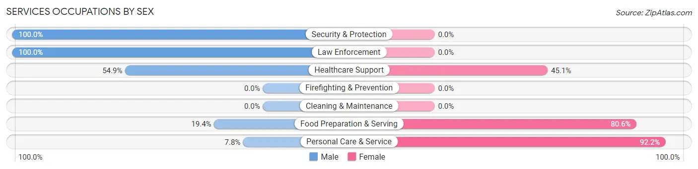 Services Occupations by Sex in Zip Code 26206