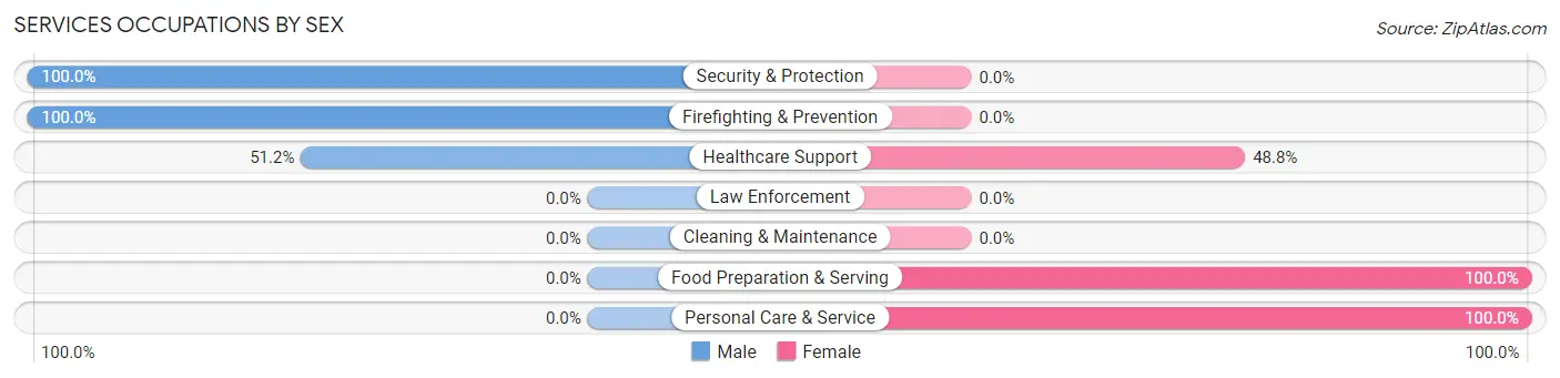 Services Occupations by Sex in Zip Code 26218