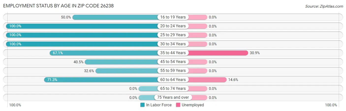 Employment Status by Age in Zip Code 26238