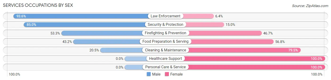 Services Occupations by Sex in Zip Code 26241