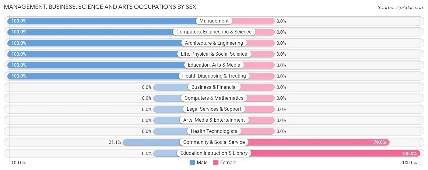 Management, Business, Science and Arts Occupations by Sex in Zip Code 26264