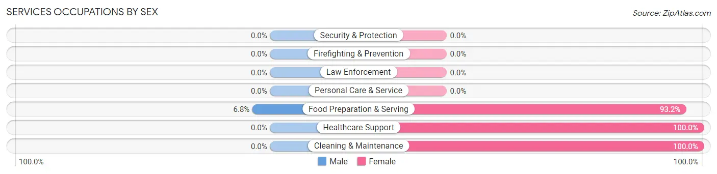 Services Occupations by Sex in Zip Code 26269