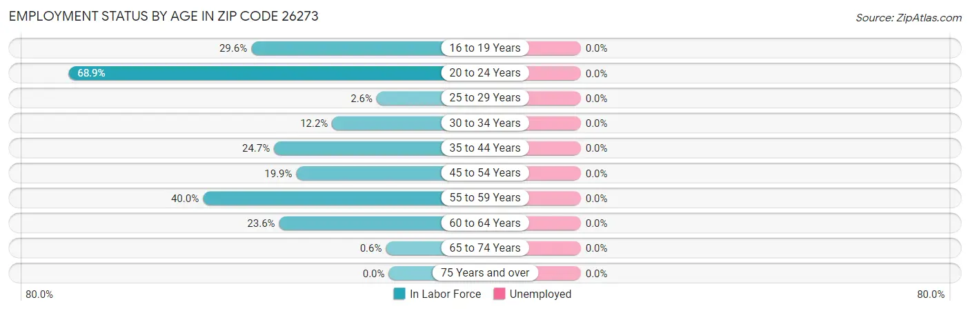 Employment Status by Age in Zip Code 26273