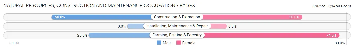 Natural Resources, Construction and Maintenance Occupations by Sex in Zip Code 26278