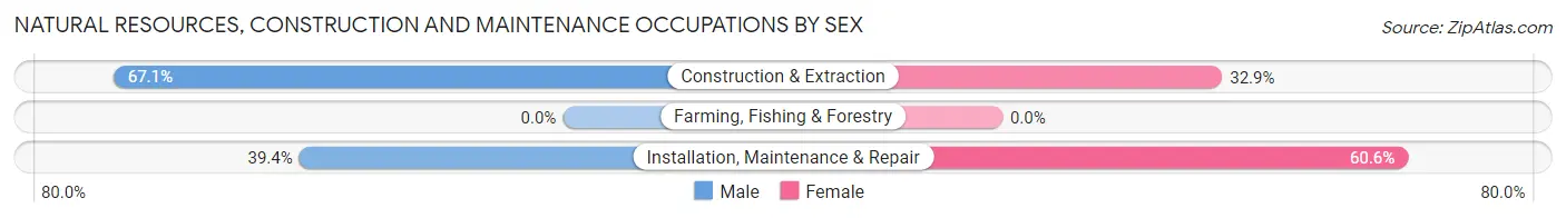 Natural Resources, Construction and Maintenance Occupations by Sex in Zip Code 26283