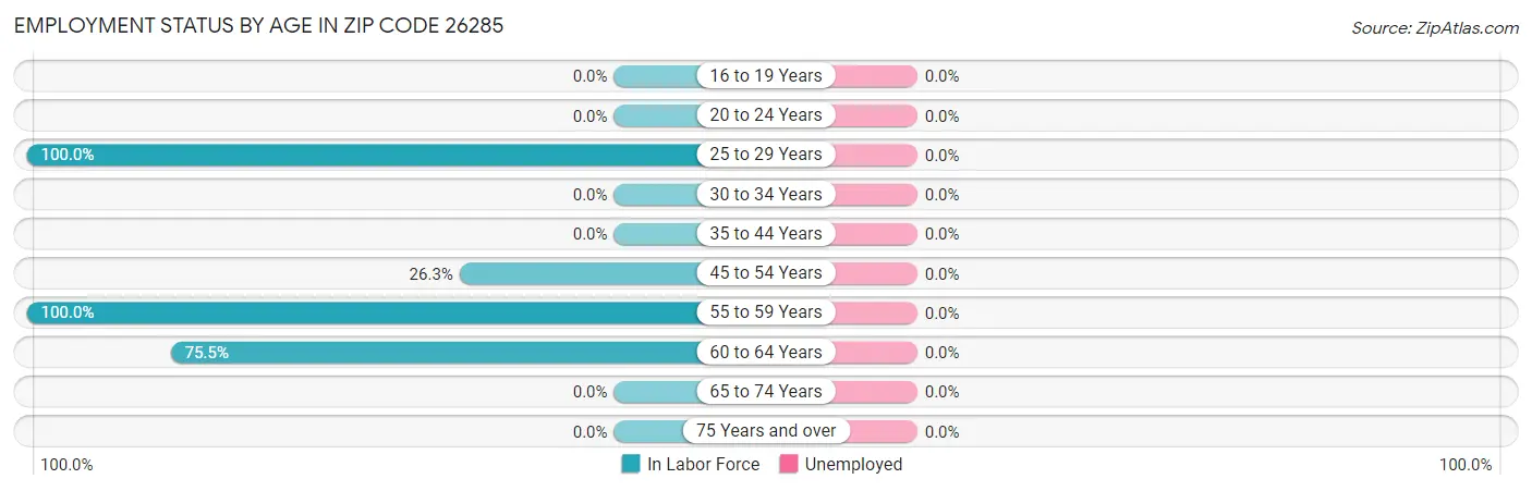 Employment Status by Age in Zip Code 26285