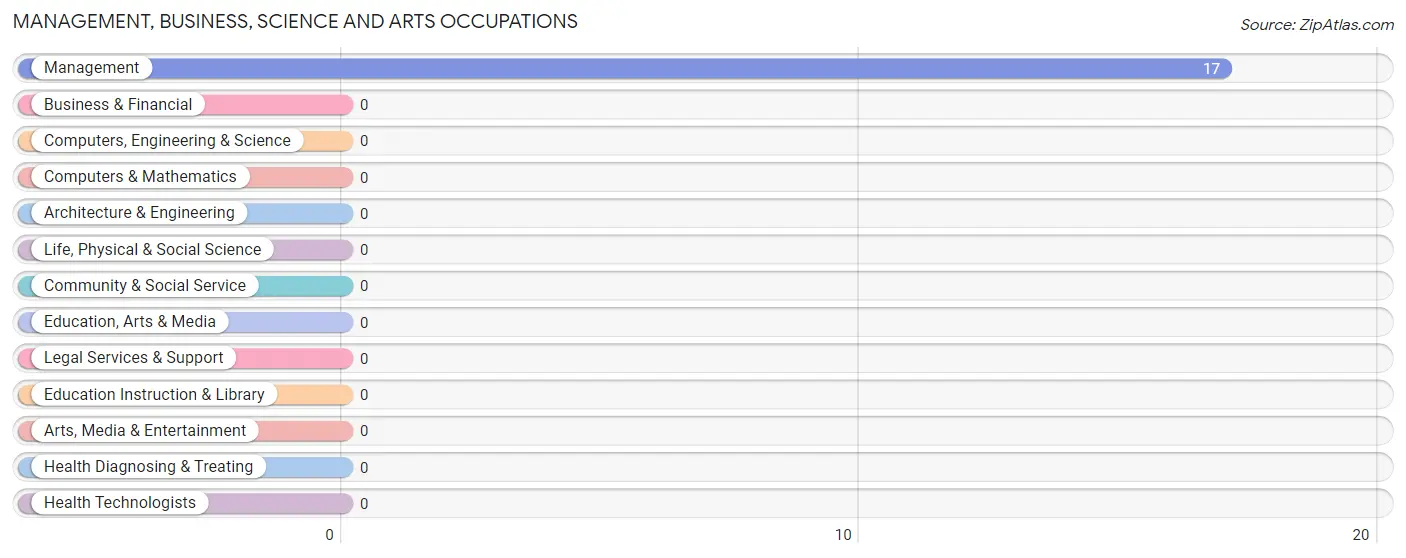 Management, Business, Science and Arts Occupations in Zip Code 26285