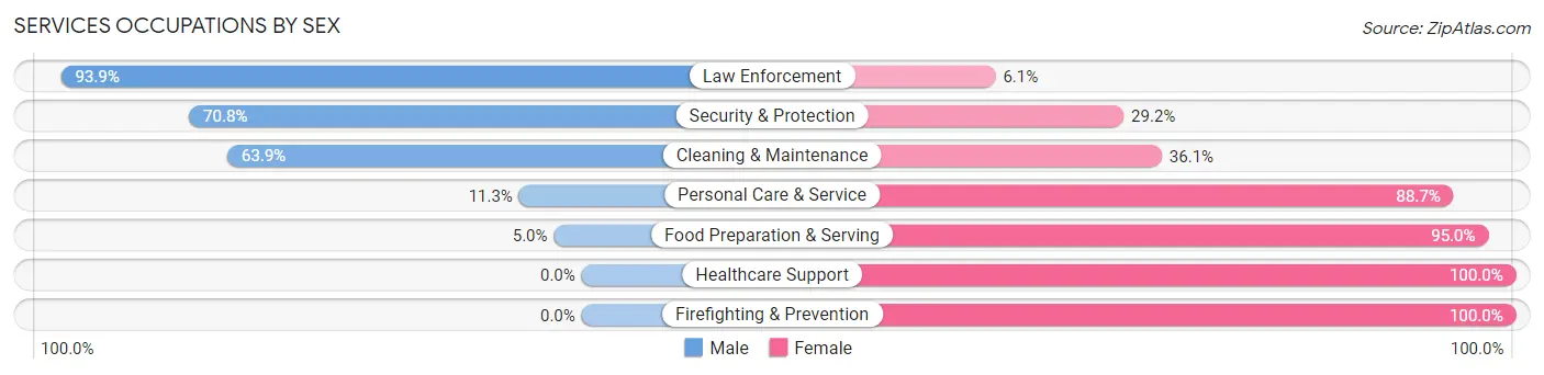 Services Occupations by Sex in Zip Code 26287