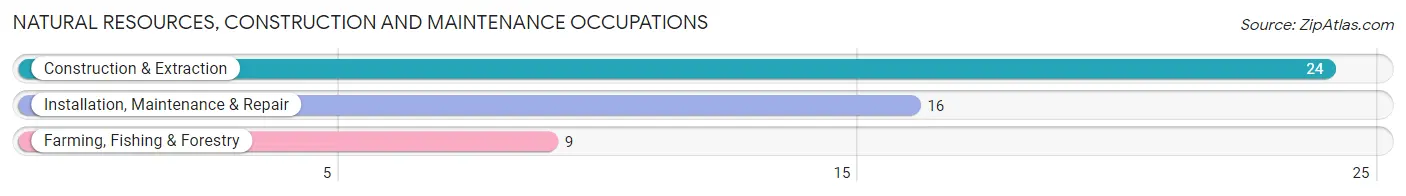 Natural Resources, Construction and Maintenance Occupations in Zip Code 26347