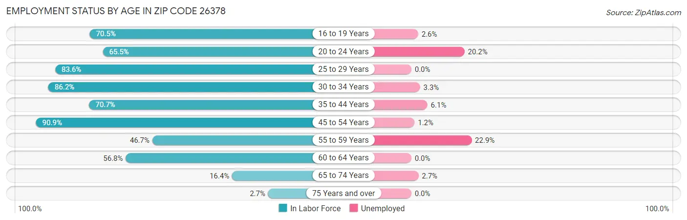 Employment Status by Age in Zip Code 26378