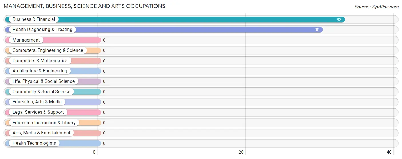 Management, Business, Science and Arts Occupations in Zip Code 26384