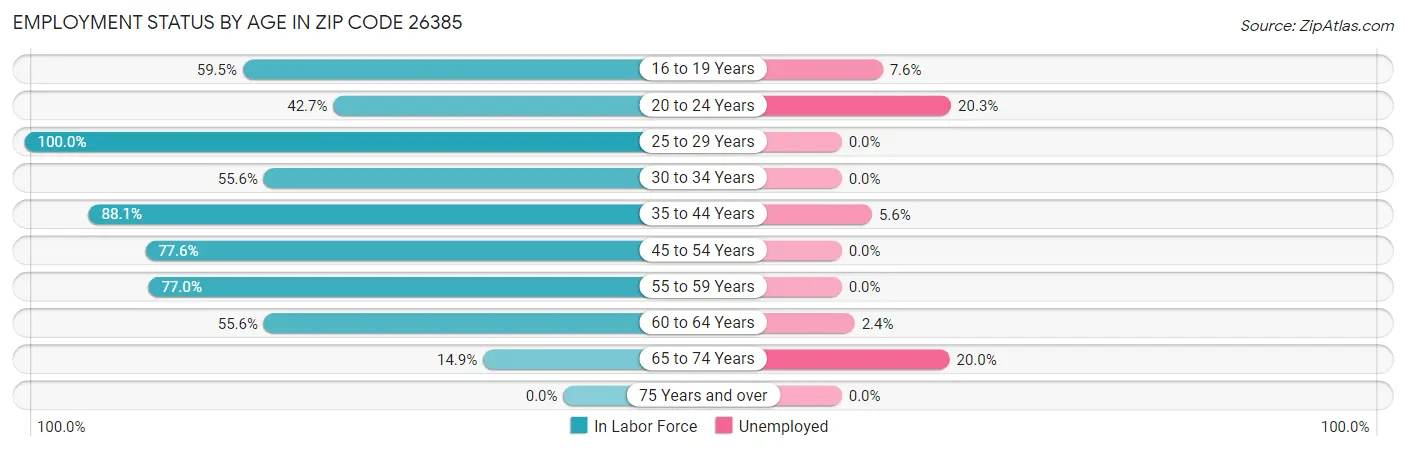 Employment Status by Age in Zip Code 26385