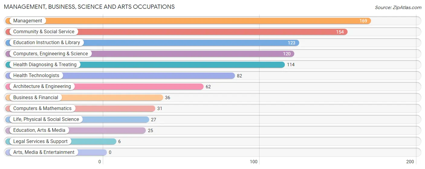 Management, Business, Science and Arts Occupations in Zip Code 26385