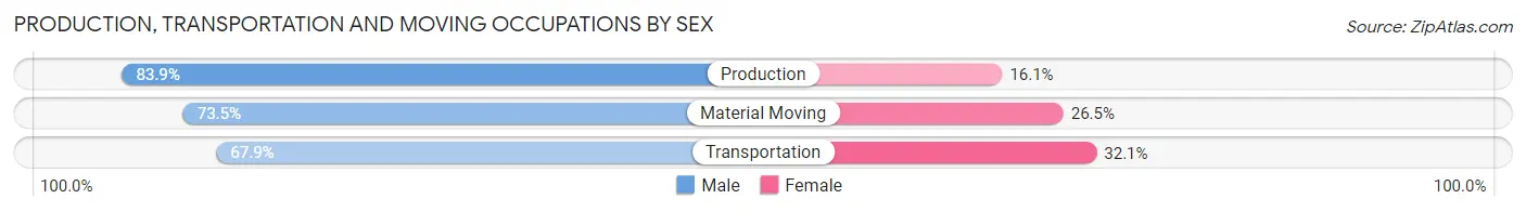 Production, Transportation and Moving Occupations by Sex in Zip Code 26385
