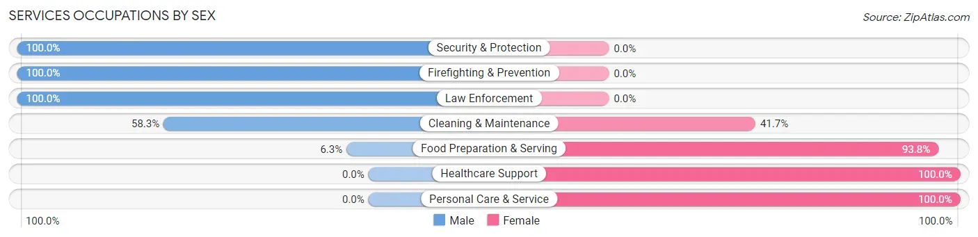 Services Occupations by Sex in Zip Code 26386