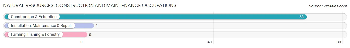 Natural Resources, Construction and Maintenance Occupations in Zip Code 26410