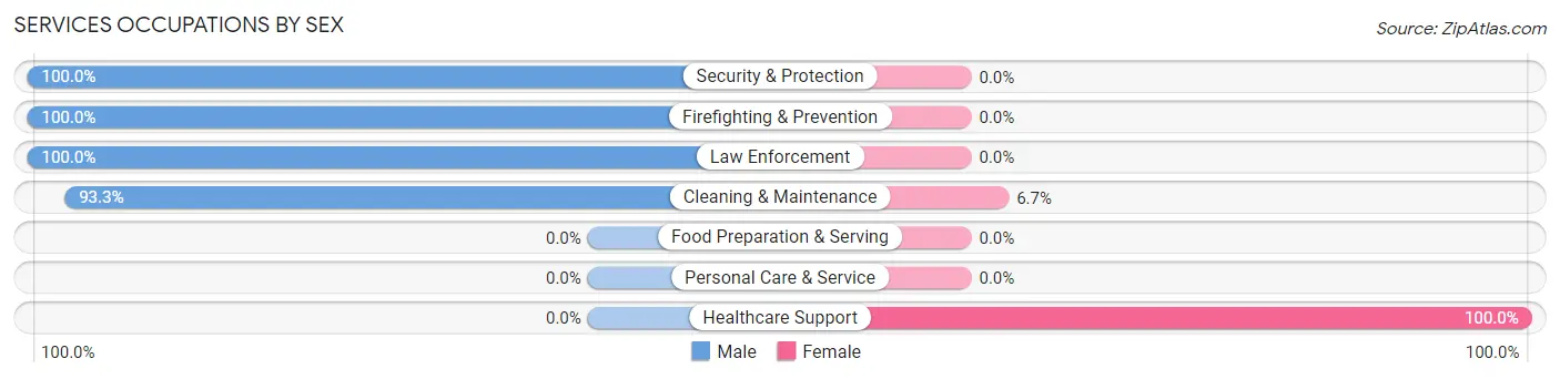 Services Occupations by Sex in Zip Code 26410
