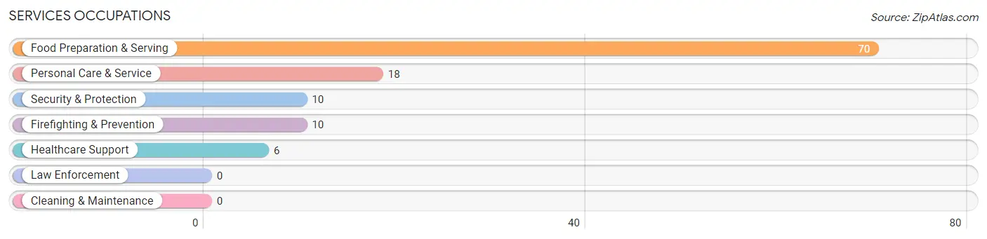 Services Occupations in Zip Code 26534