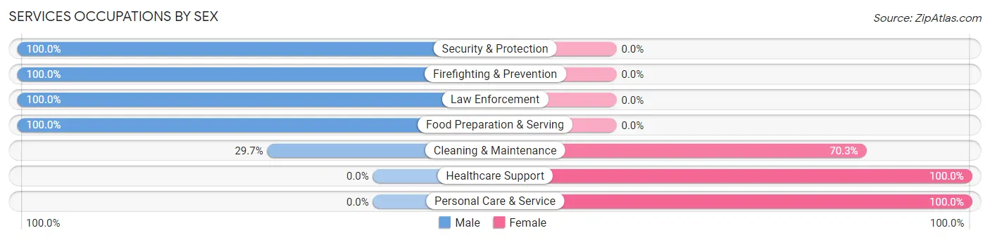 Services Occupations by Sex in Zip Code 26570