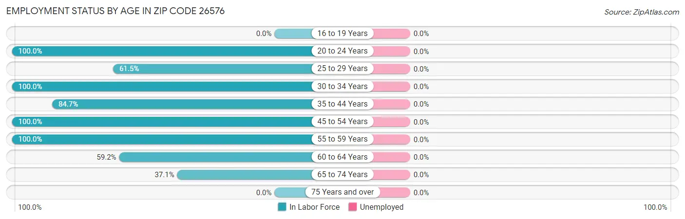Employment Status by Age in Zip Code 26576