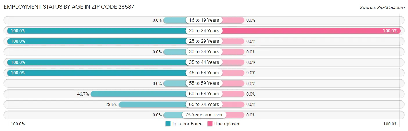 Employment Status by Age in Zip Code 26587