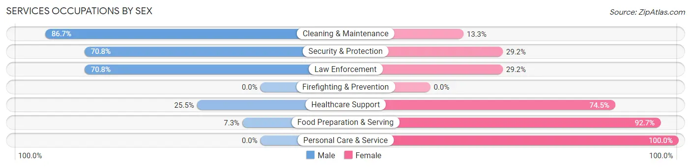 Services Occupations by Sex in Zip Code 26588
