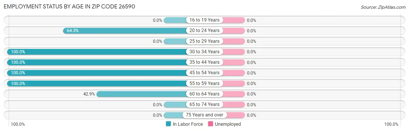 Employment Status by Age in Zip Code 26590
