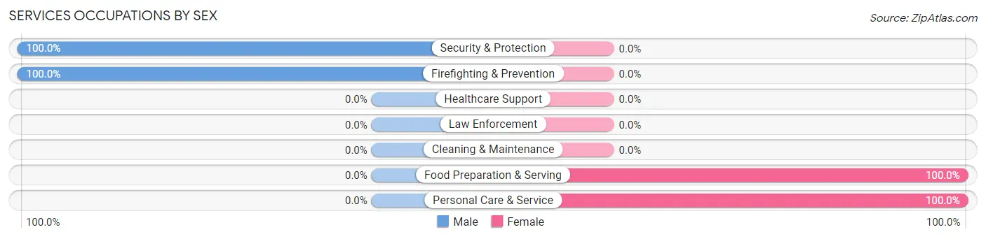 Services Occupations by Sex in Zip Code 26590