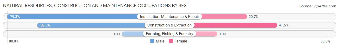 Natural Resources, Construction and Maintenance Occupations by Sex in Zip Code 26591