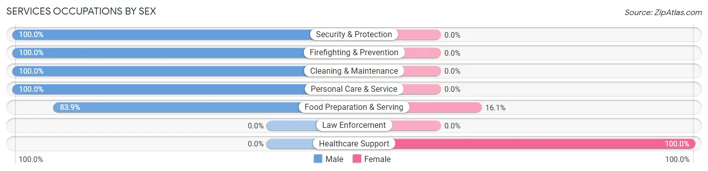 Services Occupations by Sex in Zip Code 26591