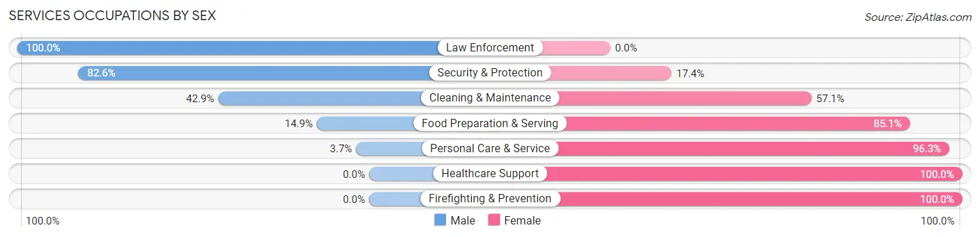 Services Occupations by Sex in Zip Code 26601