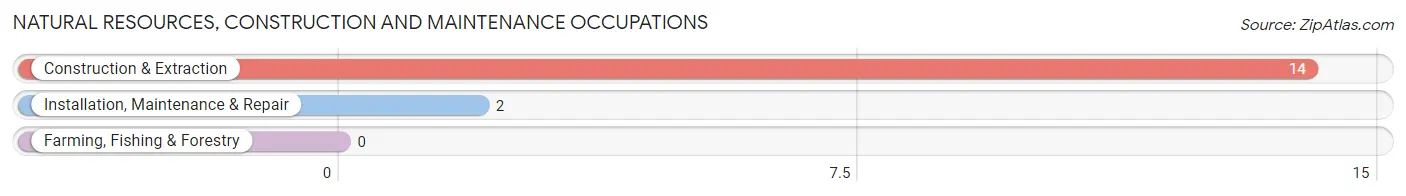 Natural Resources, Construction and Maintenance Occupations in Zip Code 26621