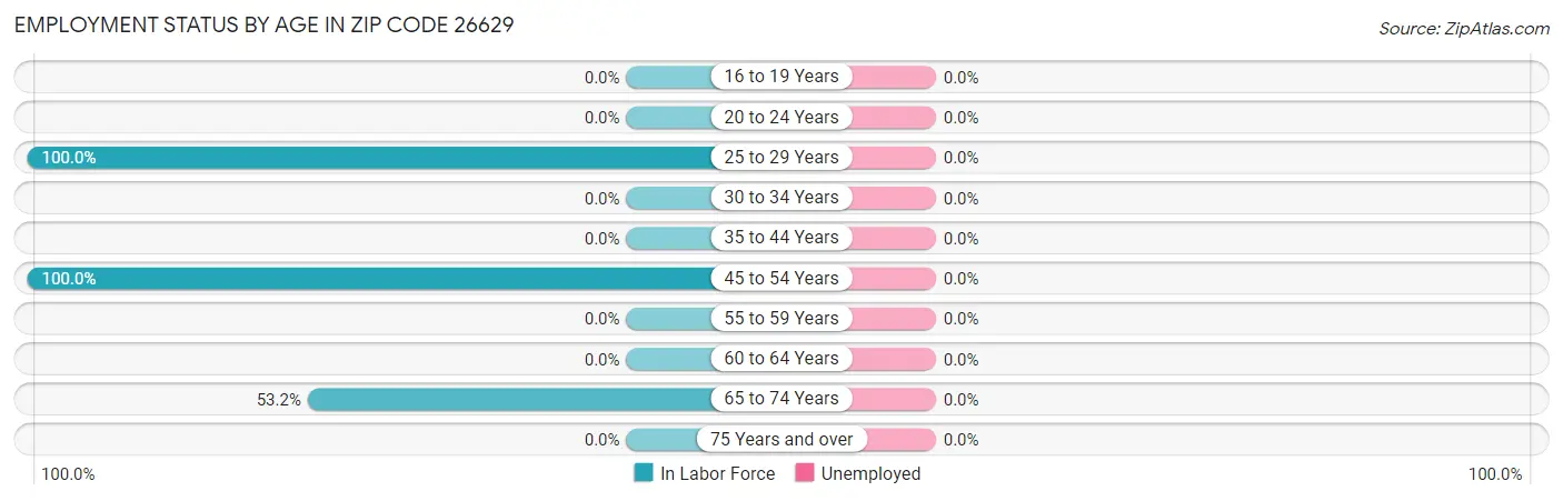 Employment Status by Age in Zip Code 26629