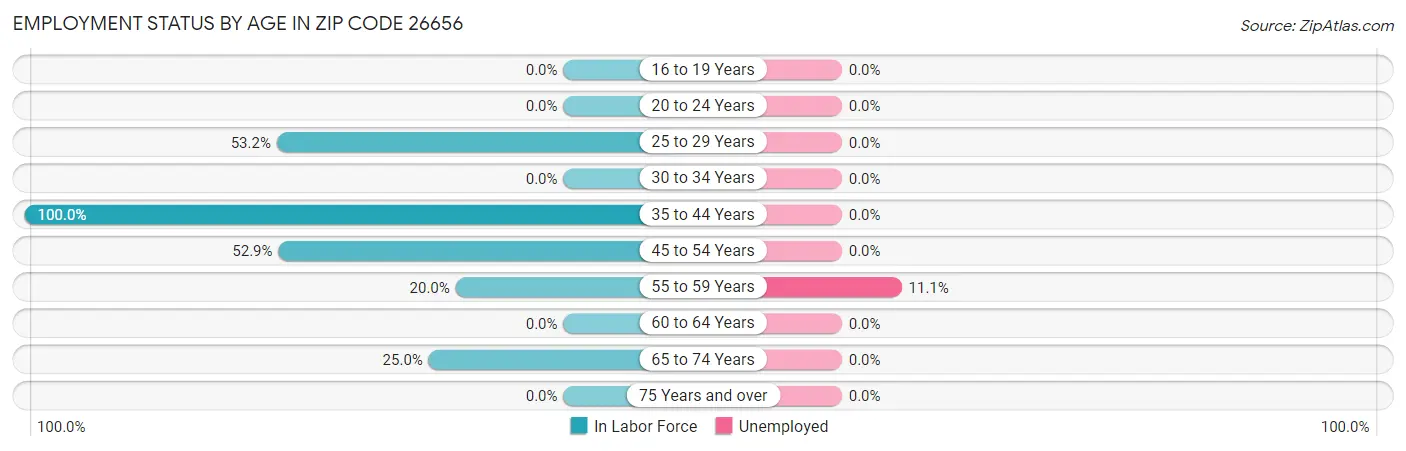 Employment Status by Age in Zip Code 26656