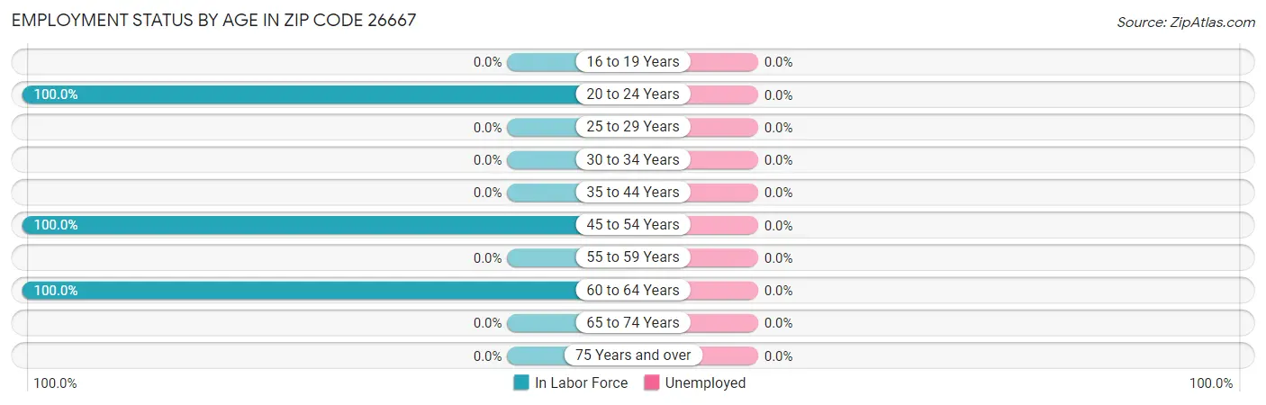 Employment Status by Age in Zip Code 26667