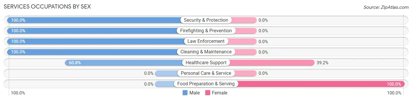 Services Occupations by Sex in Zip Code 26690